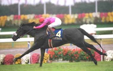 『今日は何の日?(11月6日)』の画像