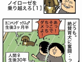 【１】育犬ノイローゼを乗り越えろ