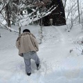 ひるがの雪まみれ。