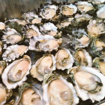 クマモト・オイスターの謎｜The Mystery of Kumamoto Oyster