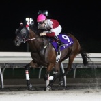 がんばれ！ホッカイドウ競馬　.blog