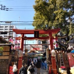 Dumb All Over “バカヤロばかり”