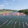 【JAPON】【こどもの日Jour des enfants】【端午の節句Tango no Sekku】【鯉のぼりKoi nobori】2026年5月5日