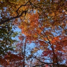 11/16  第224回 新潟CBロールコール