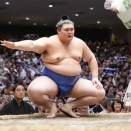 2026年も残すところあと３か月を切りましたよ【コンクールまとめ】