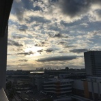 幻覚・妄想とたたかう統合失調症闘病記