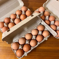 甘みと旨みがギュっとつまったアイ杉原の特大たまご！