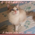 ☆☆☆ 謹賀新年 2007 ☆☆☆