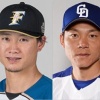大島洋平と西川遥輝ってどっちが格上やとおもう？ 	