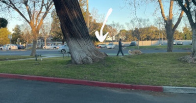 気になってじいさんを尾行した