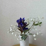 ひろこのひとりごと