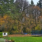 人魚がドレスに着替えたら