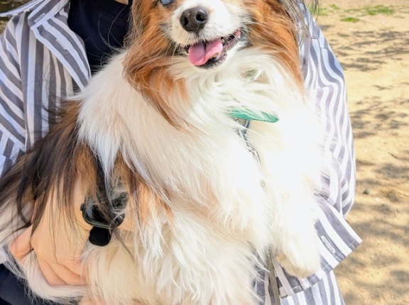 【喜寿犬】春の陽気に思わず笑顔