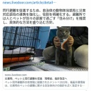 【議論】環境省さん、災害時のペット同行避難を促進してしまう