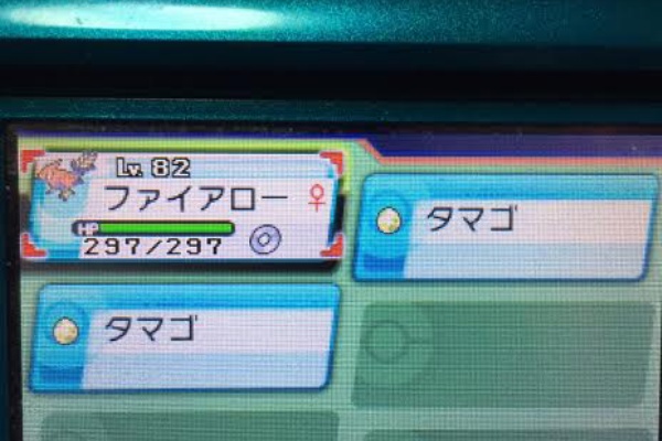 好きなもんは好きなんです