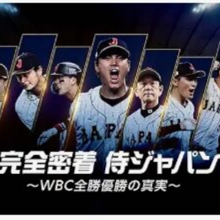 野球の記録で話したい