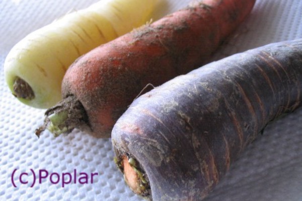 白にんじん 紫にんじん フランスのおへそのアパルトマンから