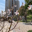 2026.3/27（金）の夕ご飯です