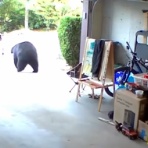 QQQ(海外の反応)