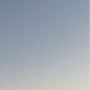 𓃠‪…記憶と共に、朝のコーヒー𖠚ᐝ (詩的エッセイ)