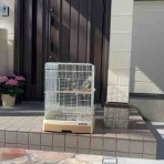 まったり覚書。with オカメインコ