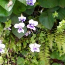 借金してでもなりたい仕事を目指して専門学校へ入ること！