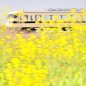 春写真の試行錯誤 = JR旅客列車と菜の花 =