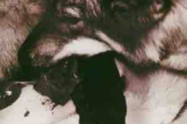 影と煙草と僕と音楽 Syrup16g 影と煙草と僕と音楽 Syrup16g