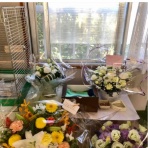 waka ⭐ のの＆のあ そしてぎずも