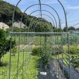 『寒くなってきた。』の画像