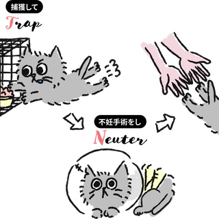 NPO法人 福井犬猫を救う会