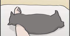 猫が身体を舐めているところを支えるのが嬉しい