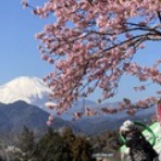 のほほんシンプルクッキング　"彩菜"