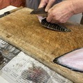 珍しい魚