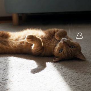 湘南凸凹柴WAN日記