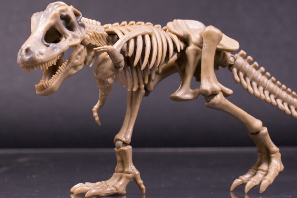 ふぃぎゅる！ - ポーズスケルトン