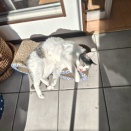 貴女知ってるぅ･･･？