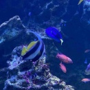 この前のお休みの日に🐟　1st.店