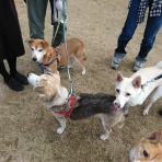 ちっくんといっしょ