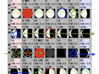2026年2月の自然観察日