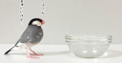 体を綺麗にしてください
