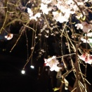 ごちゃごちゃしつつも・・