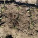 佐渡活性化日誌