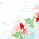 【カラーカード＆ブログ】7/27(月)　他者との境界　BROWN 【癒しのメッセージ】