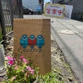 【出店情報】インコブンコなぬかまちブックス