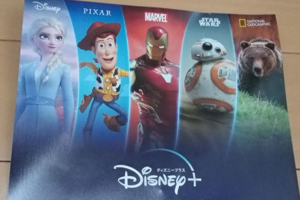 アラフィフ主婦のディズニー年パス日記 値上がり