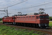 『2025/8/28運転 EF81-81牽引EF81-80仙台配給』の画像