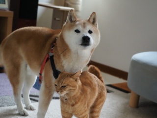 ３月も終わり…