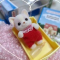 リサイクルショップ*ハチワレ赤ちゃんUK版ほか/CAFE BASEおまけマグ/購入品/シルバニア