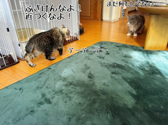 可哀想なぐらい女子ウケ悪い村尾